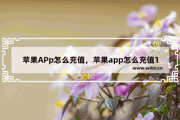 苹果APp怎么充值，苹果app怎么充值10元