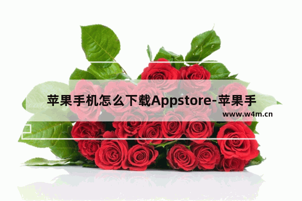 苹果手机怎么下载Appstore-苹果手机怎么下载appstore之外的软件