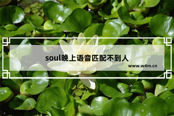 soul晚上语音匹配不到人