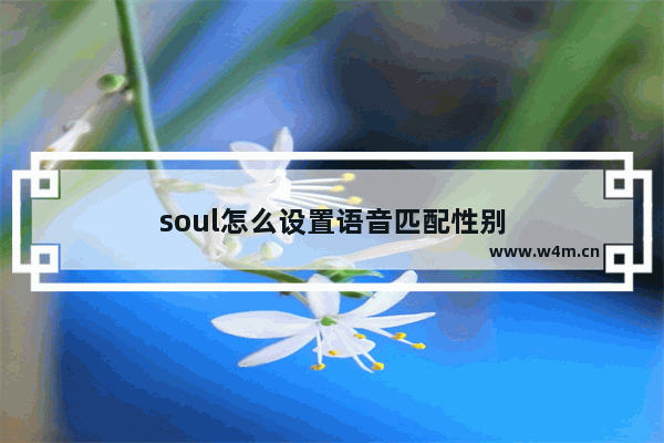 soul怎么设置语音匹配性别