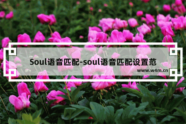 Soul语音匹配-soul语音匹配设置范围