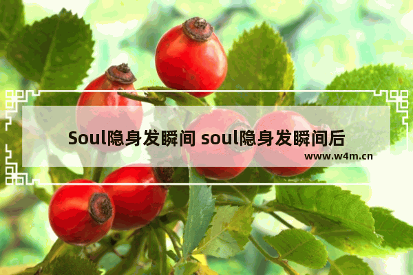 Soul隐身发瞬间 soul隐身发瞬间后