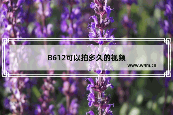 B612可以拍多久的视频