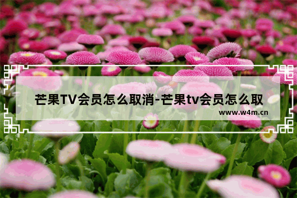 芒果TV会员怎么取消-芒果tv会员怎么取消自动续费