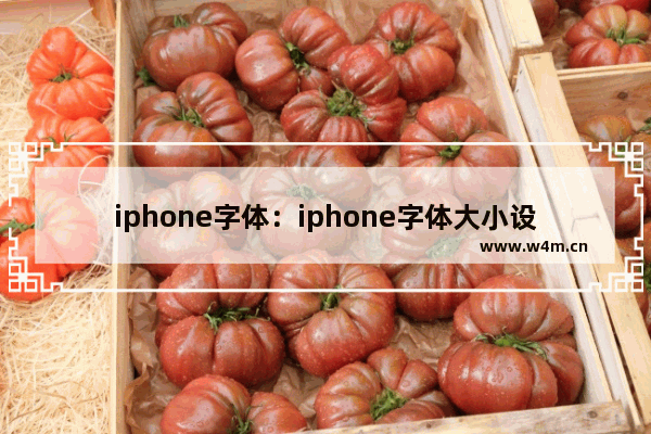 iphone字体：iphone字体大小设置方法