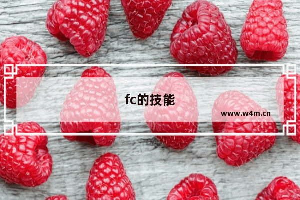 fc的技能