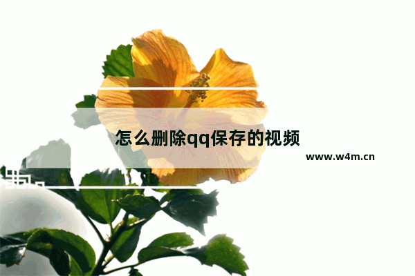 怎么删除qq保存的视频