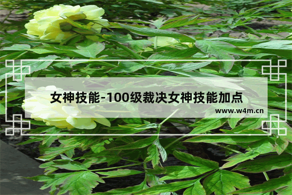 女神技能-100级裁决女神技能加点