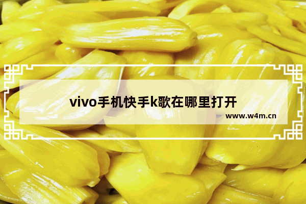 vivo手机快手k歌在哪里打开