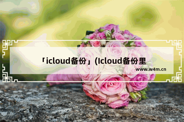 「icloud备份」(Icloud备份里的照片能删吗)