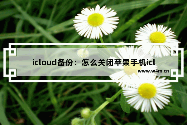 icloud备份：怎么关闭苹果手机icloud备份