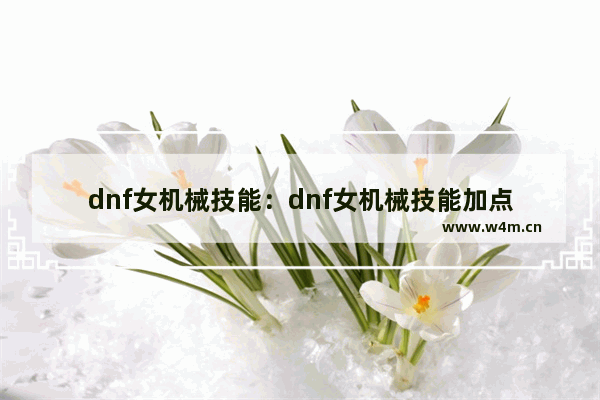 dnf女机械技能：dnf女机械技能加点