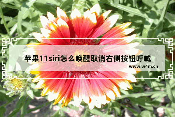 苹果11siri怎么唤醒取消右侧按钮呼喊