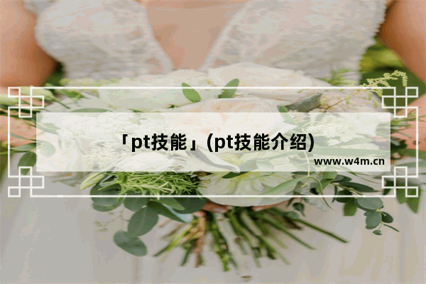 「pt技能」(pt技能介绍)