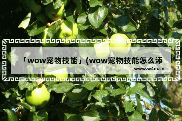 「wow宠物技能」(wow宠物技能怎么添加到技能栏里)