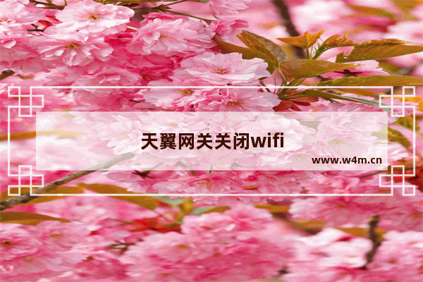 天翼网关关闭wifi