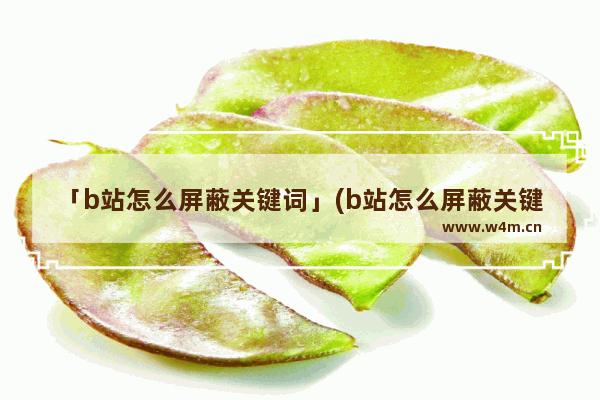 「b站怎么屏蔽关键词」(b站怎么屏蔽关键词视频)