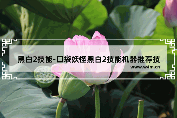 黑白2技能-口袋妖怪黑白2技能机器推荐技能