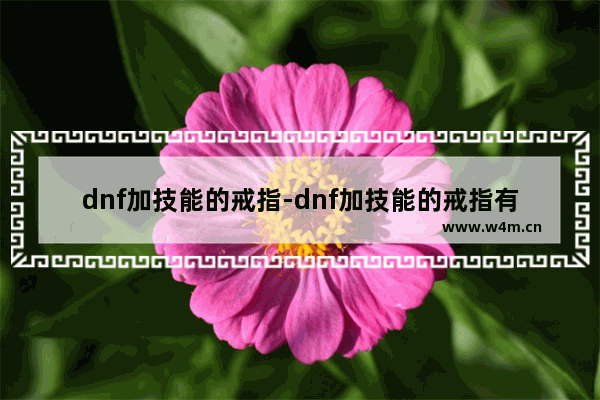 dnf加技能的戒指-dnf加技能的戒指有哪些