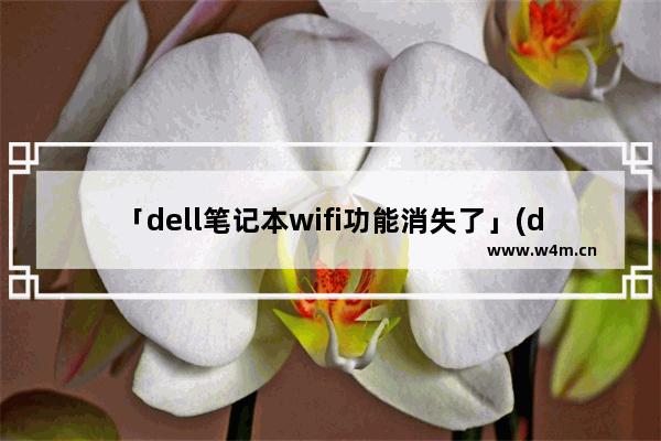 「dell笔记本wifi功能消失了」(dell笔记本wifi功能消失了win11)