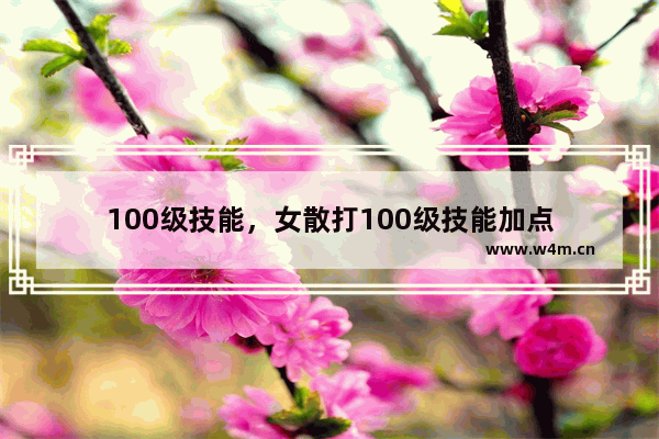 100级技能，女散打100级技能加点