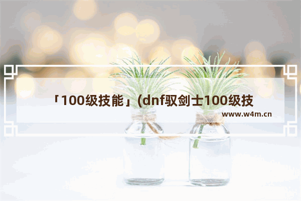 「100级技能」(dnf驭剑士100级技能加点图)