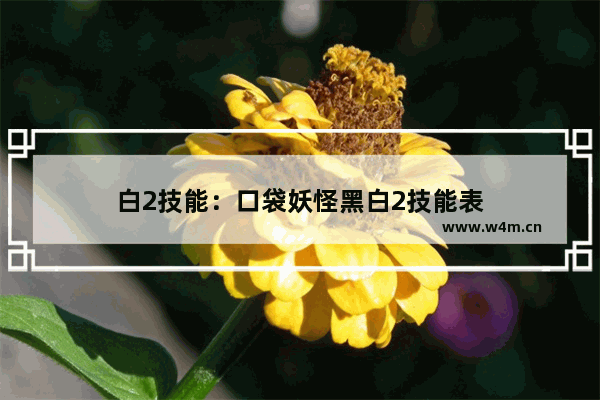 白2技能：口袋妖怪黑白2技能表