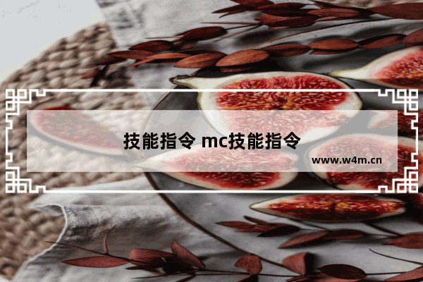 技能指令 mc技能指令