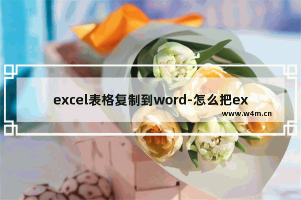 excel表格复制到word-怎么把excel表格复制到word里边线断开