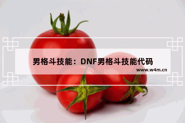 男格斗技能：DNF男格斗技能代码