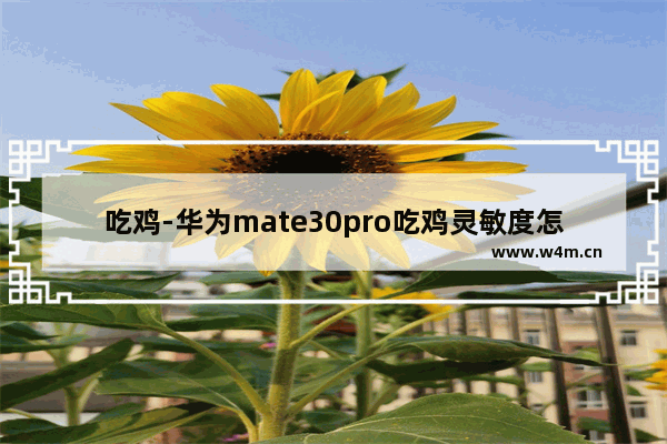 吃鸡-华为mate30pro吃鸡灵敏度怎么调