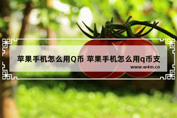 苹果手机怎么用Q币 苹果手机怎么用q币支付腾讯会员