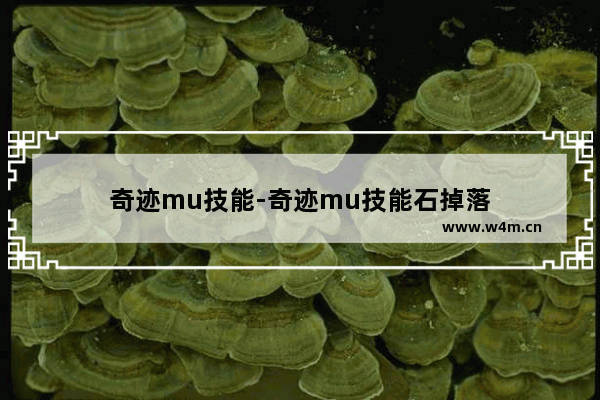 奇迹mu技能-奇迹mu技能石掉落