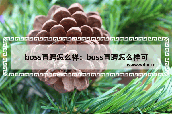 boss直聘怎么样：boss直聘怎么样可靠吗