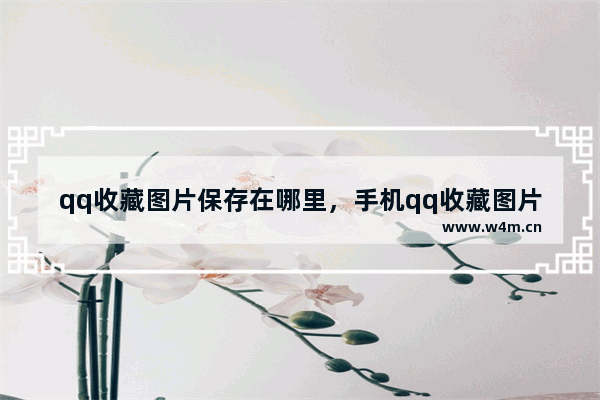 qq收藏图片保存在哪里，手机qq收藏图片保存在哪里可以找到