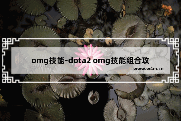 omg技能-dota2 omg技能组合攻略