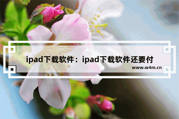 ipad下载软件：ipad下载软件还要付钱吗