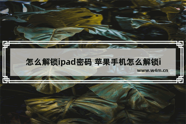 怎么解锁ipad密码 苹果手机怎么解锁ipad密码