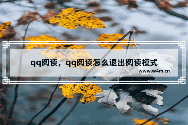 qq阅读，qq阅读怎么退出阅读模式