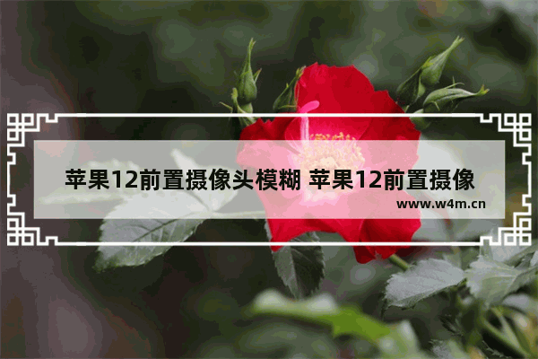 苹果12前置摄像头模糊 苹果12前置摄像头模糊修一下需要多少钱