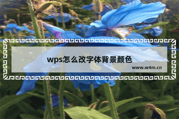 wps怎么改字体背景颜色