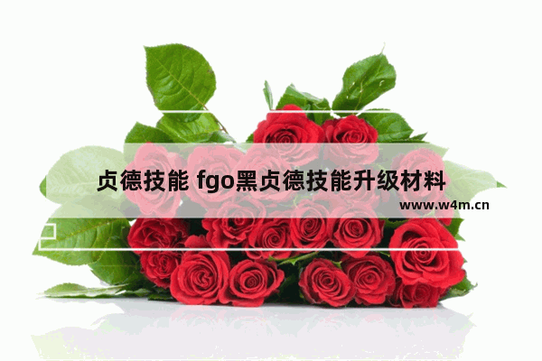 贞德技能 fgo黑贞德技能升级材料