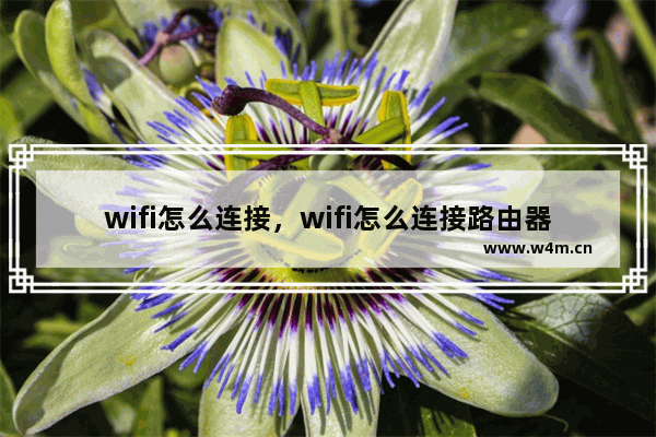 wifi怎么连接，wifi怎么连接路由器TOTOLINK