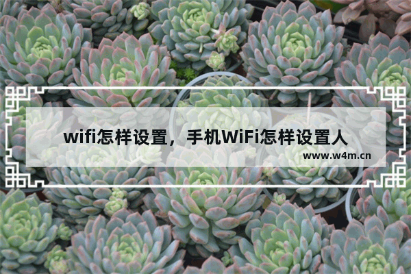 wifi怎样设置，手机WiFi怎样设置人数