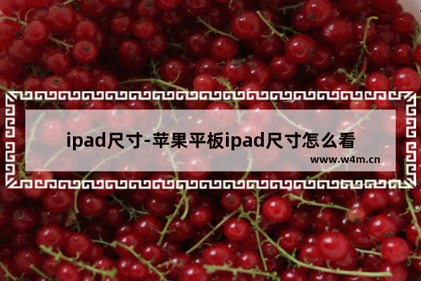 ipad尺寸-苹果平板ipad尺寸怎么看