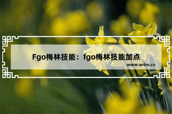 Fgo梅林技能：fgo梅林技能加点