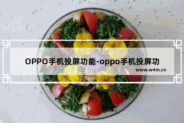 OPPO手机投屏功能-oppo手机投屏功能怎么关不了