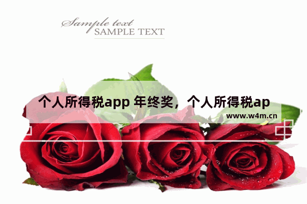 个人所得税app 年终奖，个人所得税app 年终奖扣除