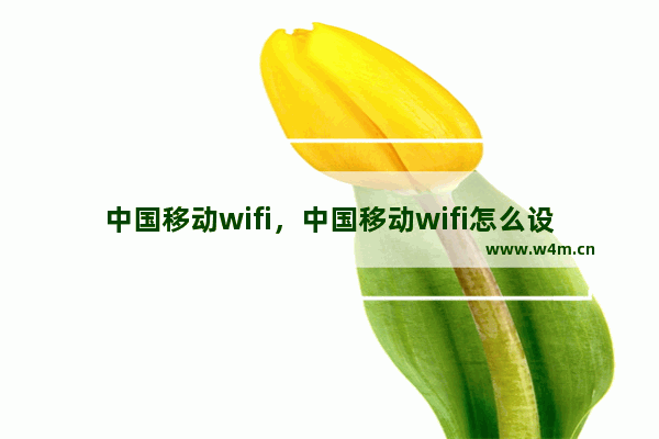 中国移动wifi，中国移动wifi怎么设置网速最快