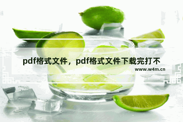 pdf格式文件，pdf格式文件下载完打不开